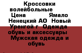  Кроссовки волейбольные ASICS › Цена ­ 3 000 - Ямало-Ненецкий АО, Новый Уренгой г. Одежда, обувь и аксессуары » Мужская одежда и обувь   